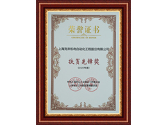 DG视讯扶贫先锋奖